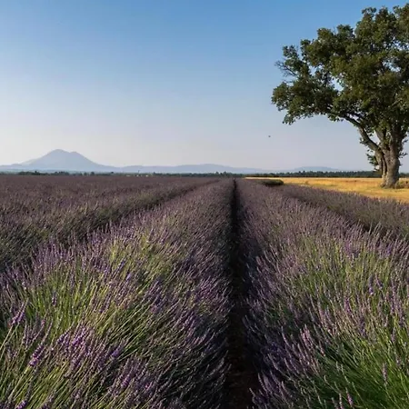 La Casa De Francois *