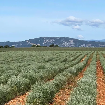 別荘 La Casa De Francois オレゾン