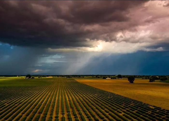 La Casa De Francois 펜션 오레종