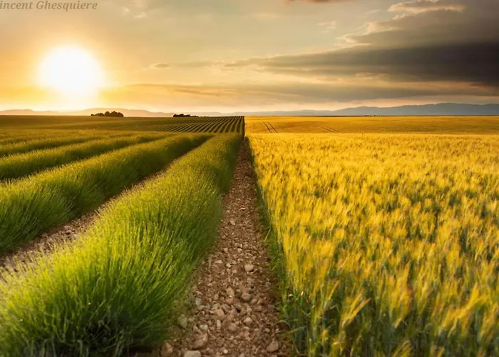 La Casa De Francois 펜션