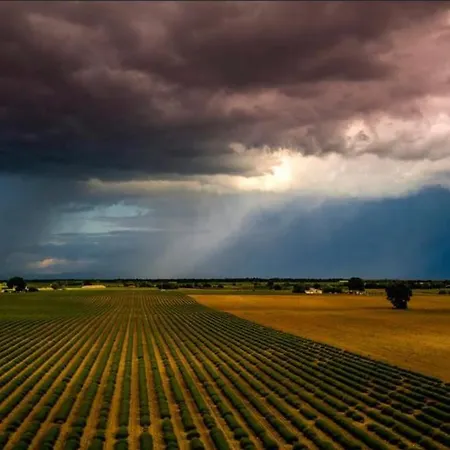 La Casa De Francois Casa vacanze Oraison