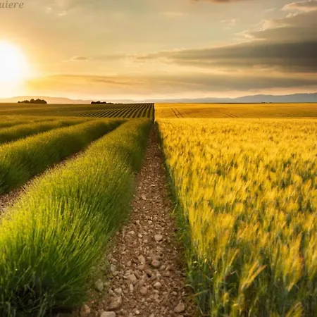 La Casa De Francois Casa vacanze