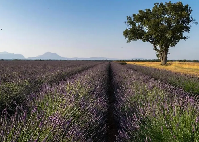 La Casa De Francois *