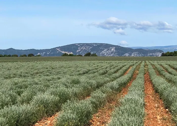 Holiday home La Casa De Francois Oraison